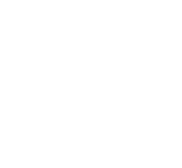 pfimg33.png